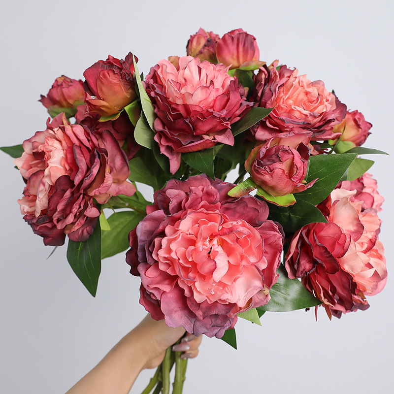 Photography Lighting Simulation - Simulation de pivoine rétro à 2