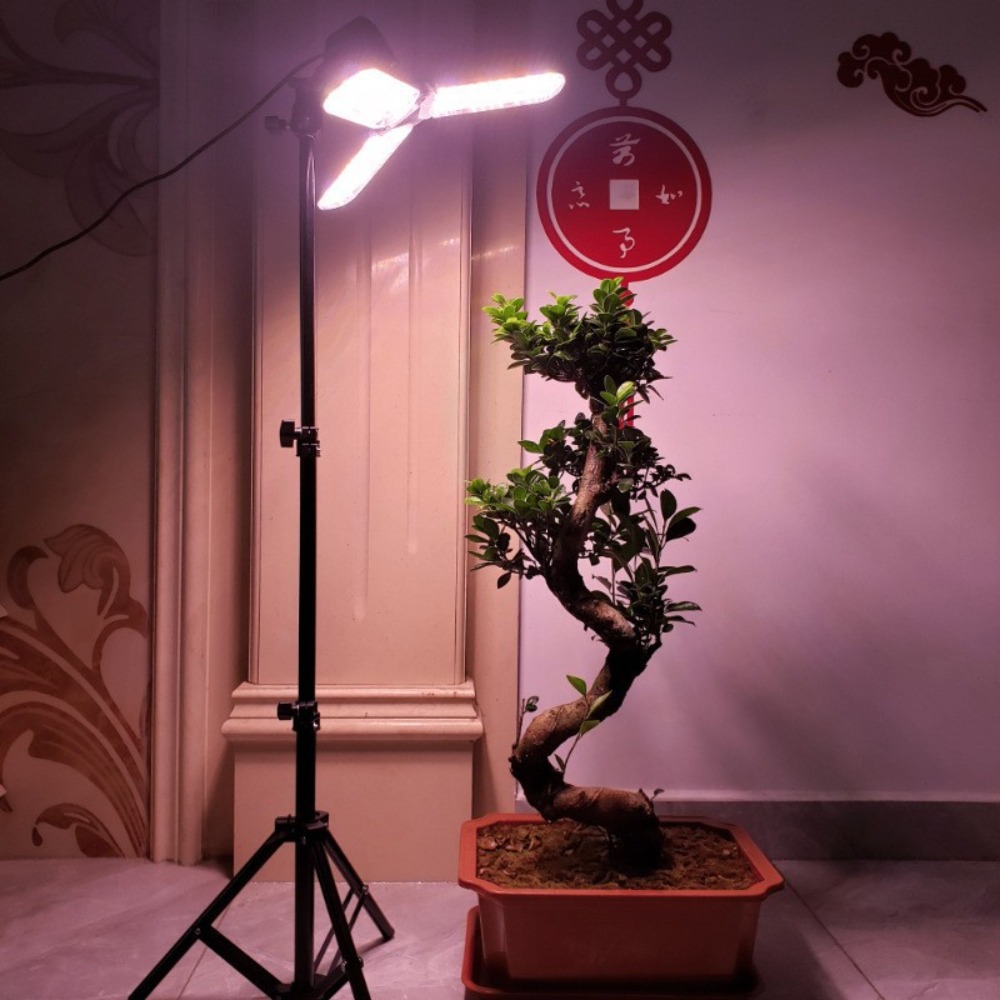 Support d'ampoule 2M, douille  - Photography Lighting Umbrella avis et prix