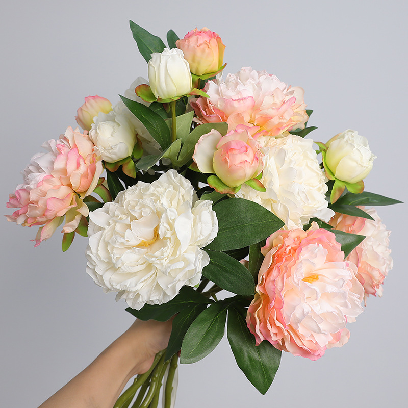 Simulation de pivoine rétro à  - Photography Lighting Simulation avis et prix