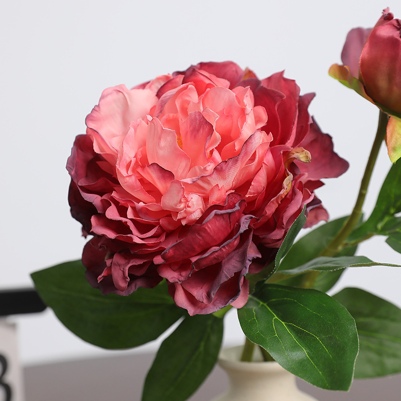 Simulation de pivoine rétro à  - Photography Lighting Simulation avis et prix