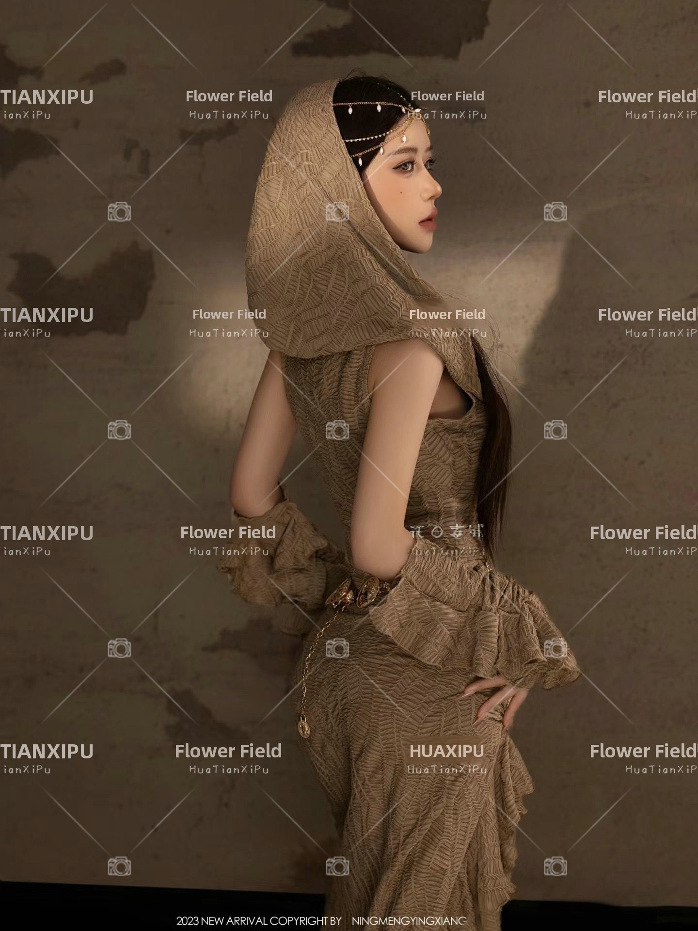 Nouvelle tenue de photographie - Lighting In Photography avis et prix